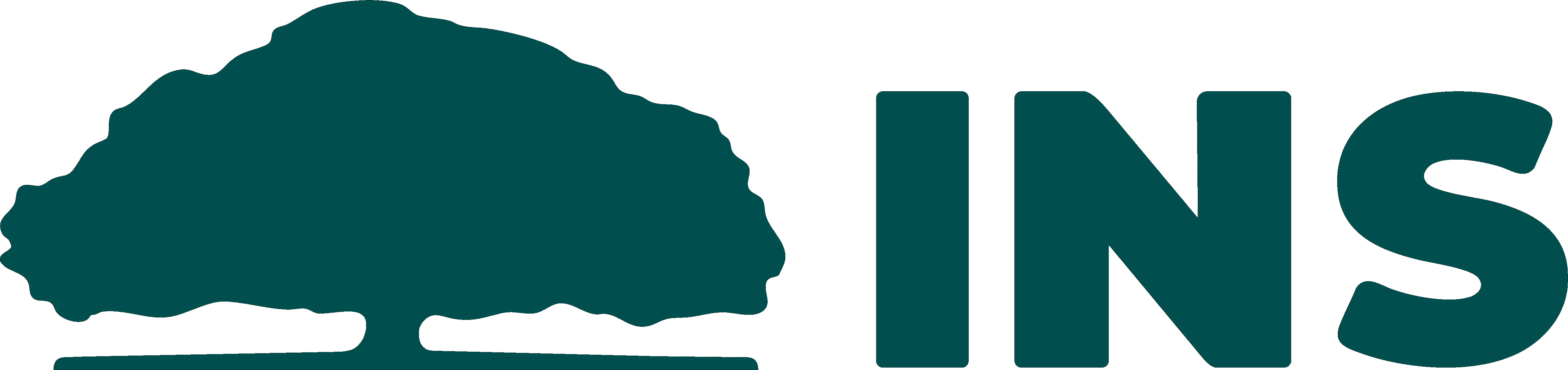 INS Seguros Costa Rica